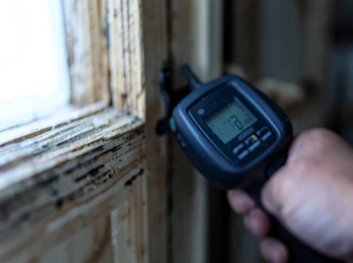 Moisture Inspection And Documentation in Garden City, AL